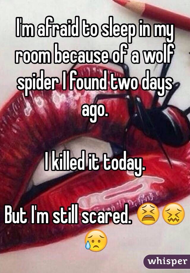 I'm afraid to sleep in my room because of a wolf spider I found two days ago. 

I killed it today. 

But I'm still scared. 😫😖😥