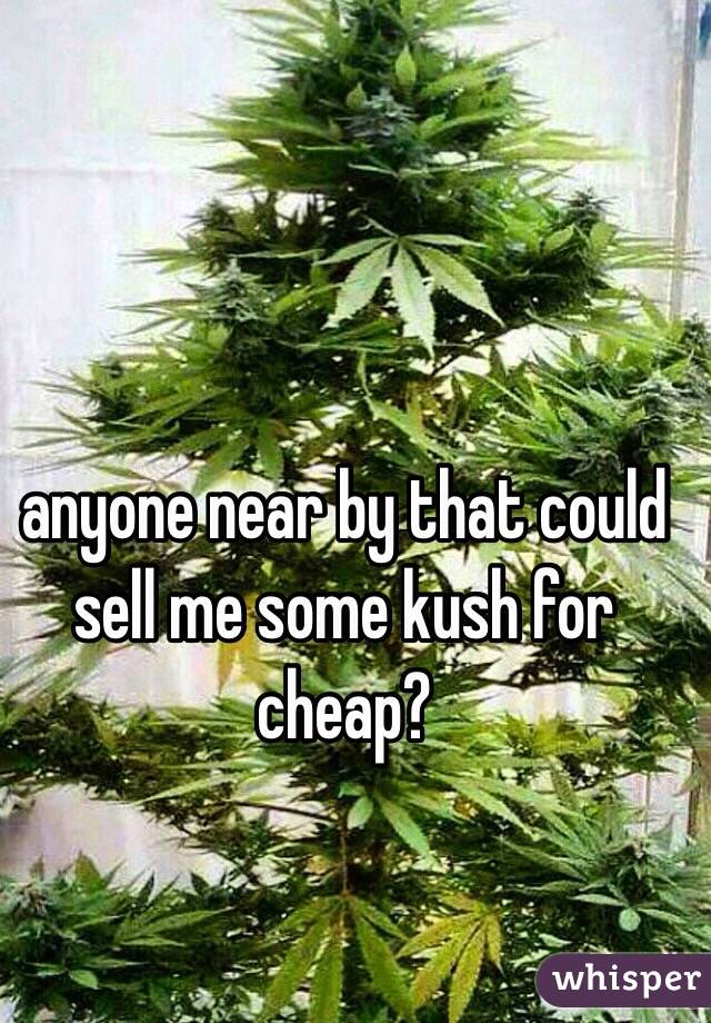 anyone near by that could sell me some kush for cheap? 