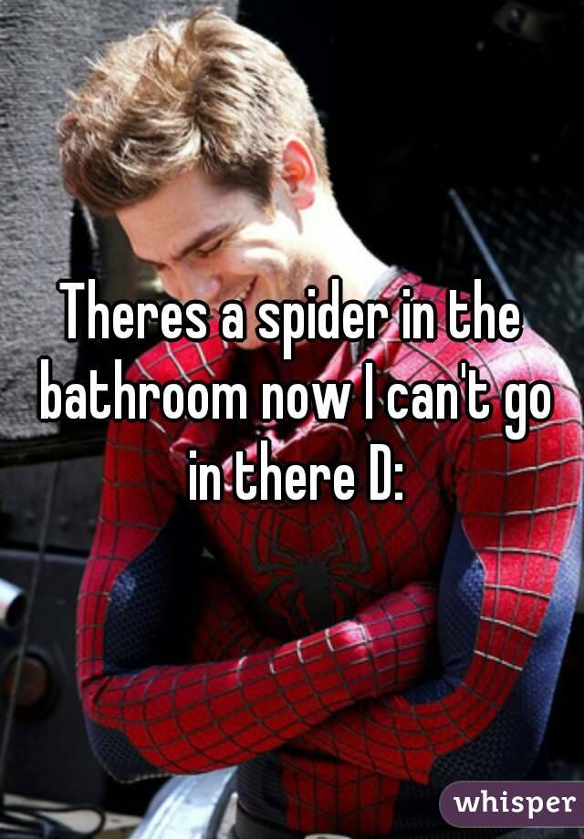 Theres a spider in the bathroom now I can't go in there D: