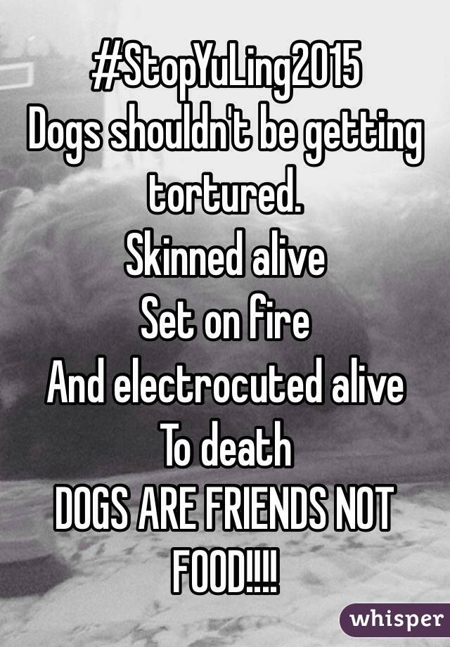 #StopYuLing2015
Dogs shouldn't be getting tortured.
Skinned alive
Set on fire
And electrocuted alive
To death
DOGS ARE FRIENDS NOT FOOD!!!!