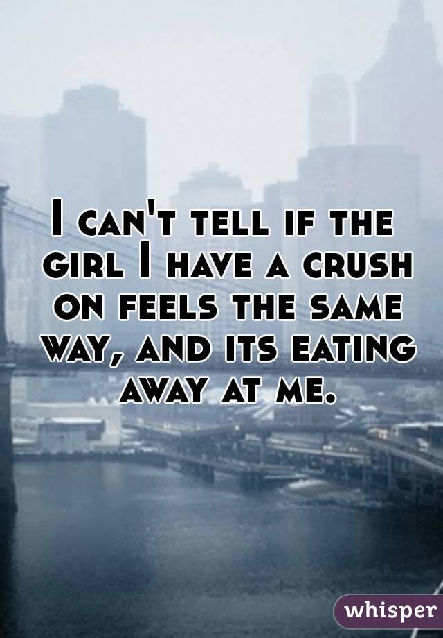 I can't tell if the girl I have a crush on feels the same way, and its eating away at me.