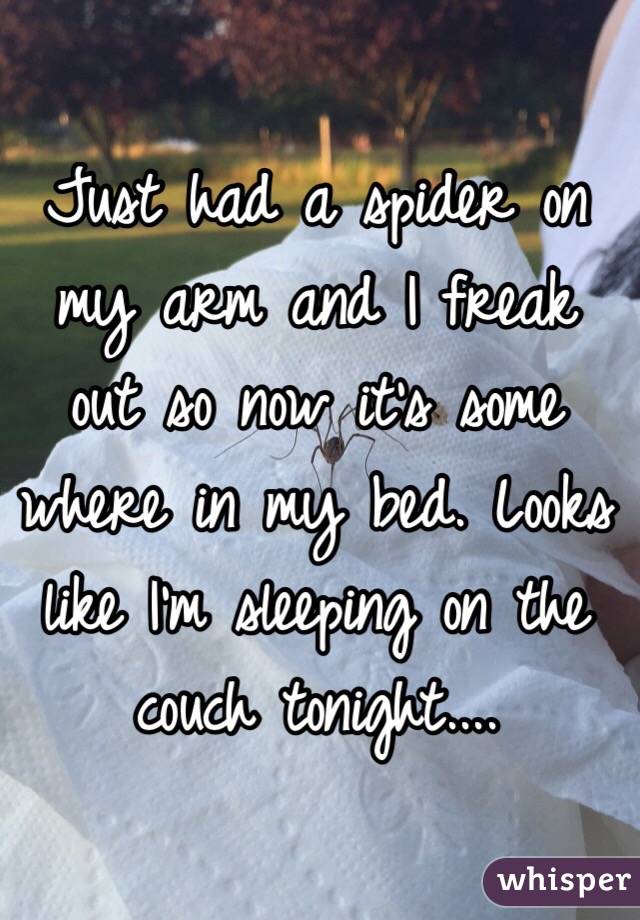 Just had a spider on my arm and I freak out so now it's some where in my bed. Looks like I'm sleeping on the couch tonight....