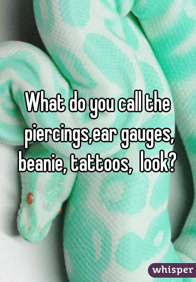 What do you call the piercings,ear gauges, beanie, tattoos,  look? 