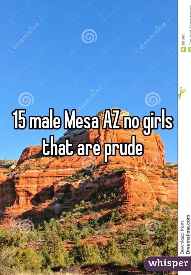 15 male Mesa AZ no girls that are prude 