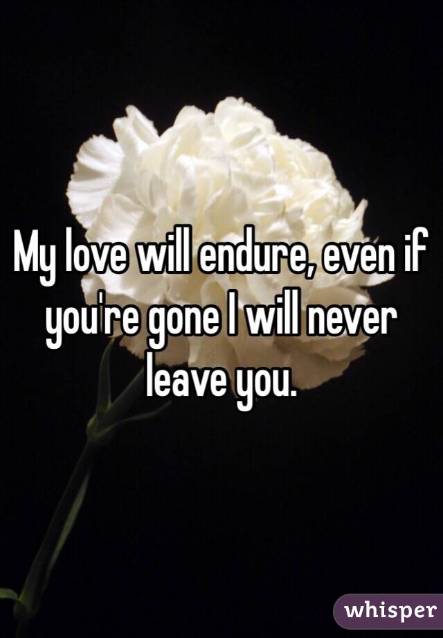 My love will endure, even if you're gone I will never leave you. 