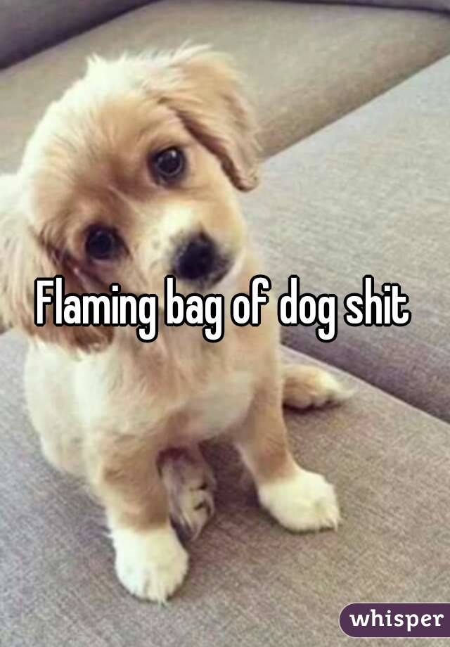 Flaming bag of dog shit