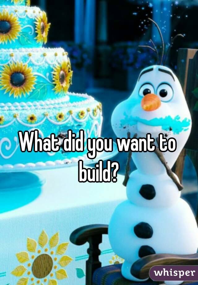 What did you want to build?