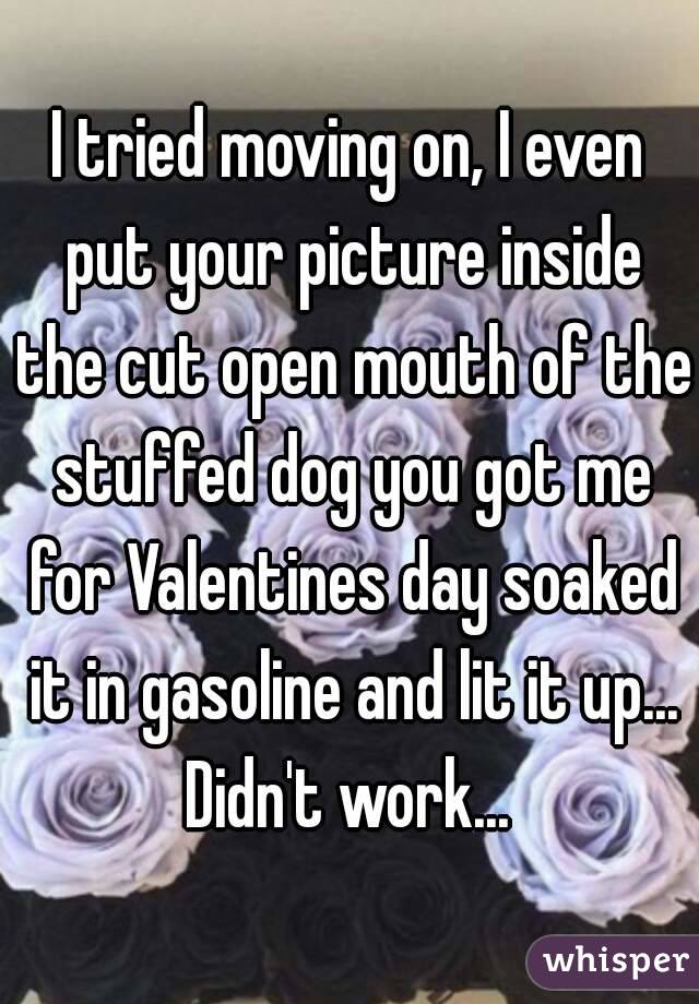 I tried moving on, I even put your picture inside the cut open mouth of the stuffed dog you got me for Valentines day soaked it in gasoline and lit it up...
Didn't work...