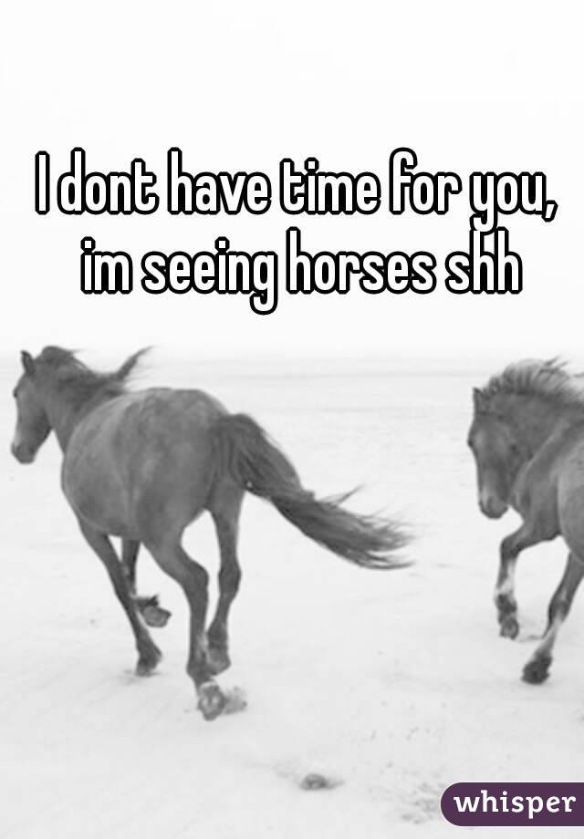 I dont have time for you, im seeing horses shh