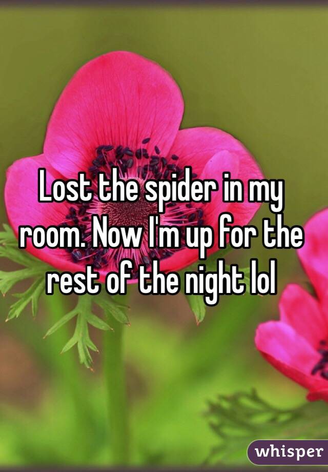 Lost the spider in my room. Now I'm up for the rest of the night lol