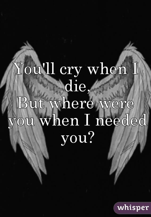 You'll cry when I die,
But where were you when I needed you?