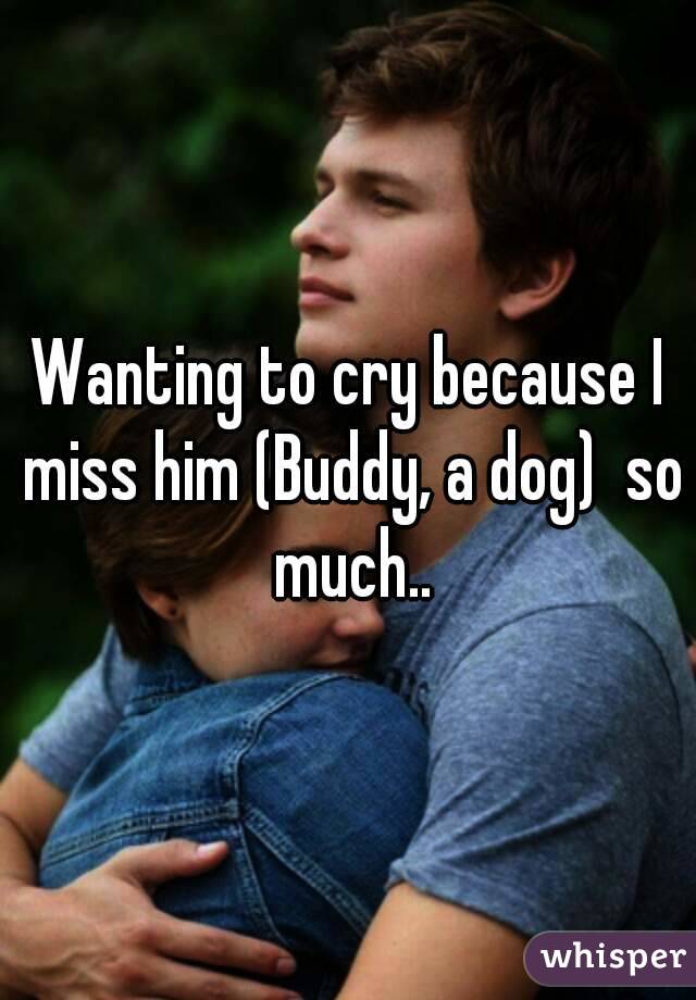 Wanting to cry because I miss him (Buddy, a dog)  so much..