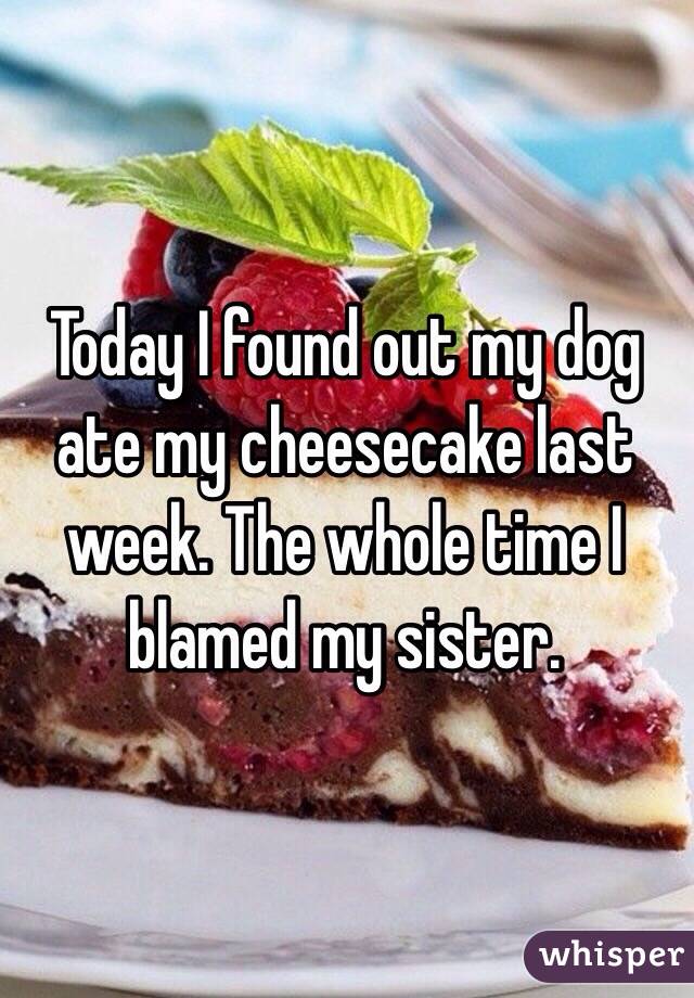 Today I found out my dog ate my cheesecake last week. The whole time I blamed my sister.