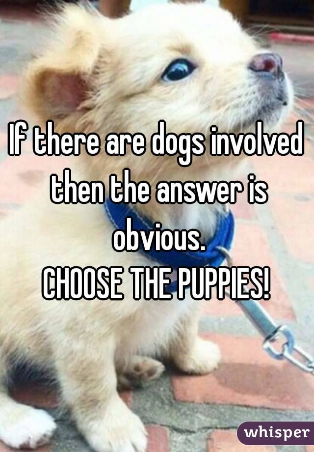 If there are dogs involved then the answer is obvious.
CHOOSE THE PUPPIES!