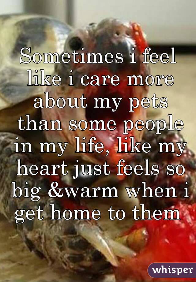 Sometimes i feel like i care more about my pets than some people in my life, like my heart just feels so big &warm when i get home to them 