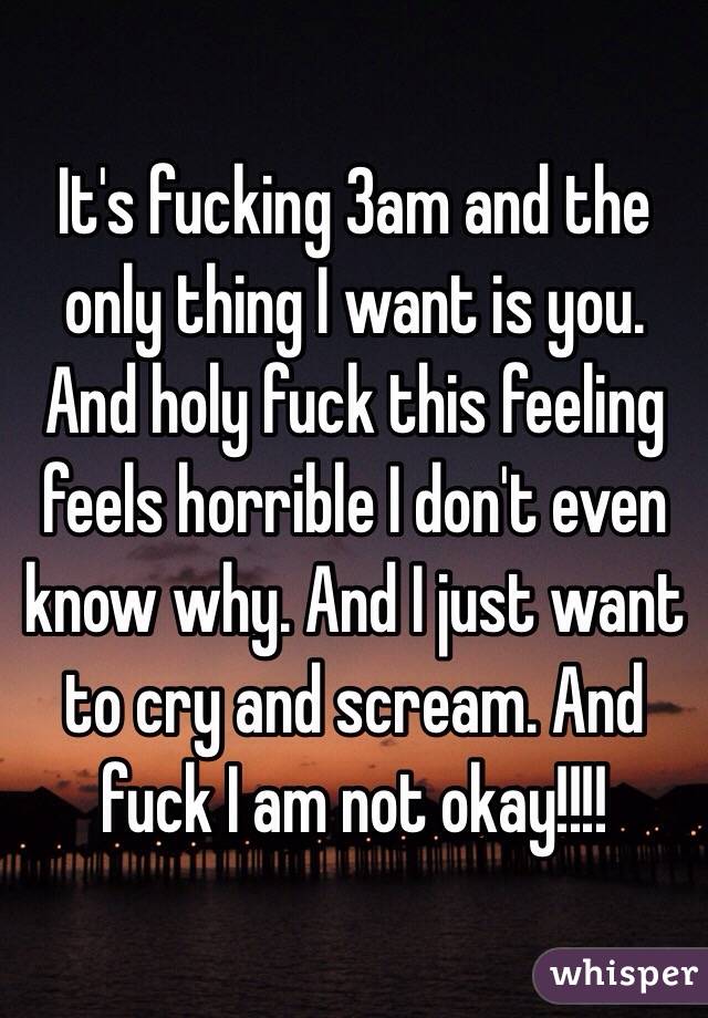 It's fucking 3am and the only thing I want is you. And holy fuck this feeling feels horrible I don't even know why. And I just want to cry and scream. And fuck I am not okay!!!! 