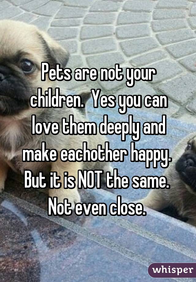 Pets are not your children.  Yes you can love them deeply and make eachother happy.  But it is NOT the same.  Not even close. 