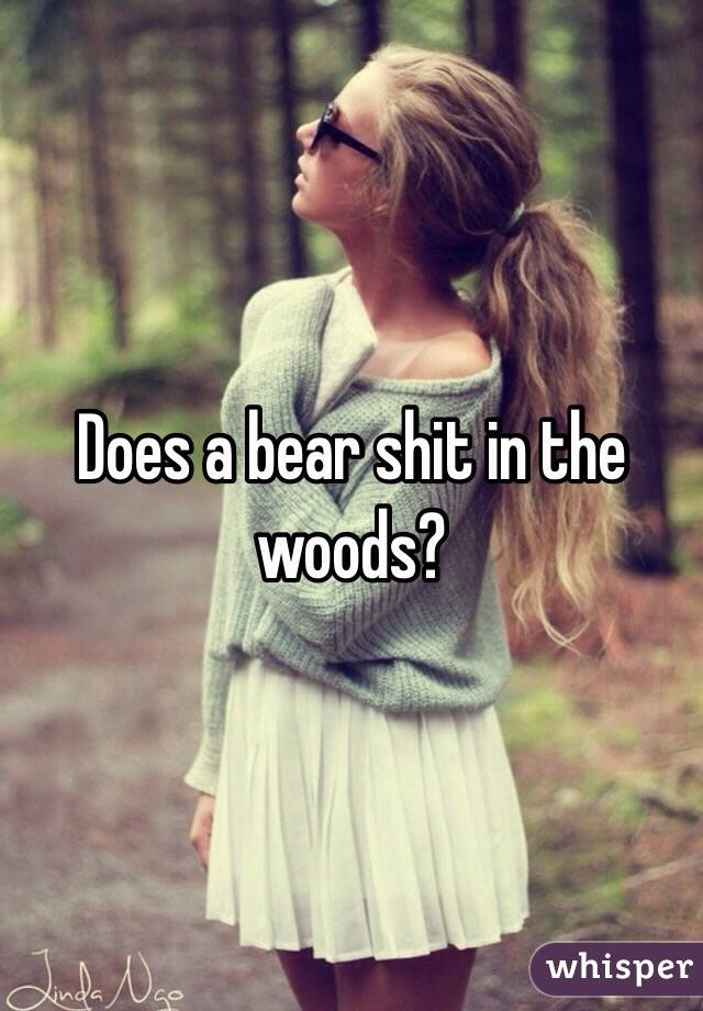 Does a bear shit in the woods?