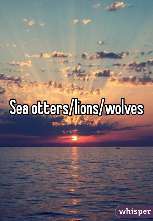 Sea otters/lions/wolves 