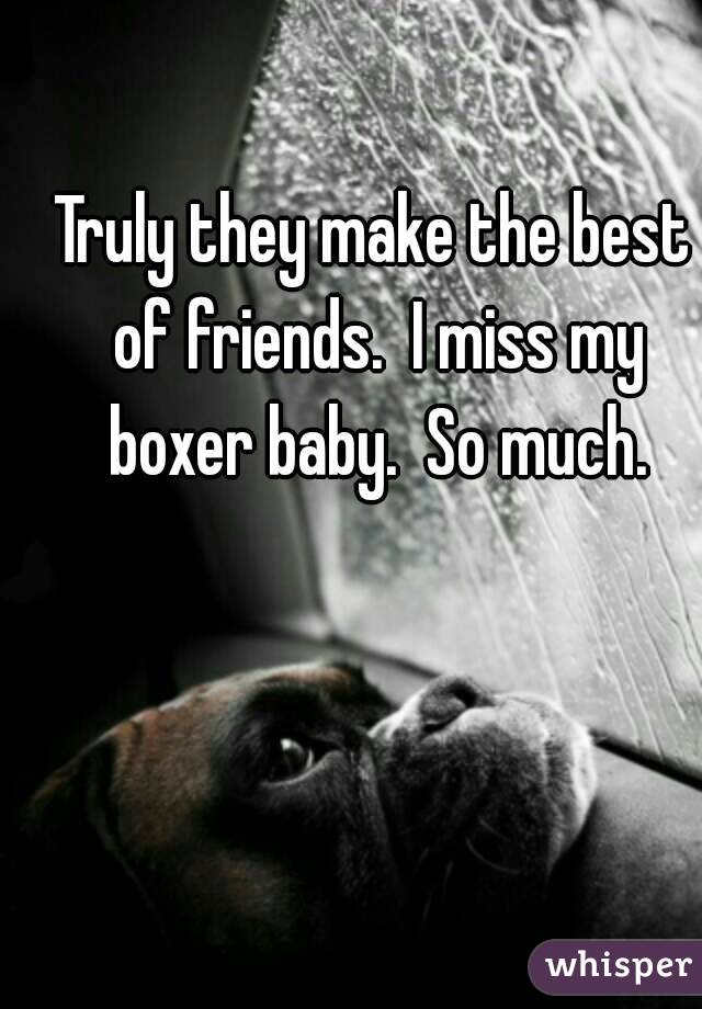 Truly they make the best of friends.  I miss my boxer baby.  So much.