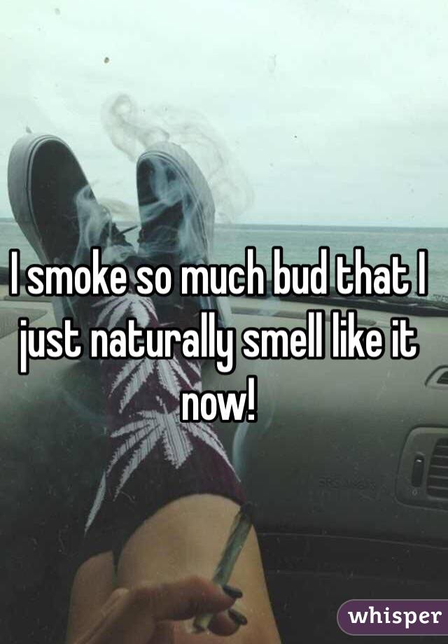 I smoke so much bud that I just naturally smell like it now!