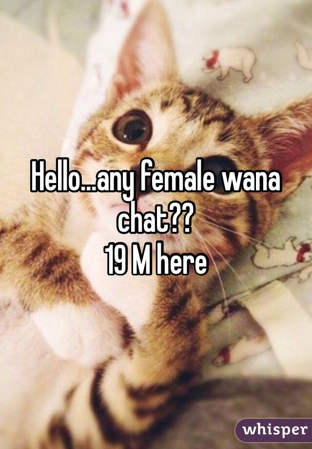 Hello...any female wana chat??
19 M here