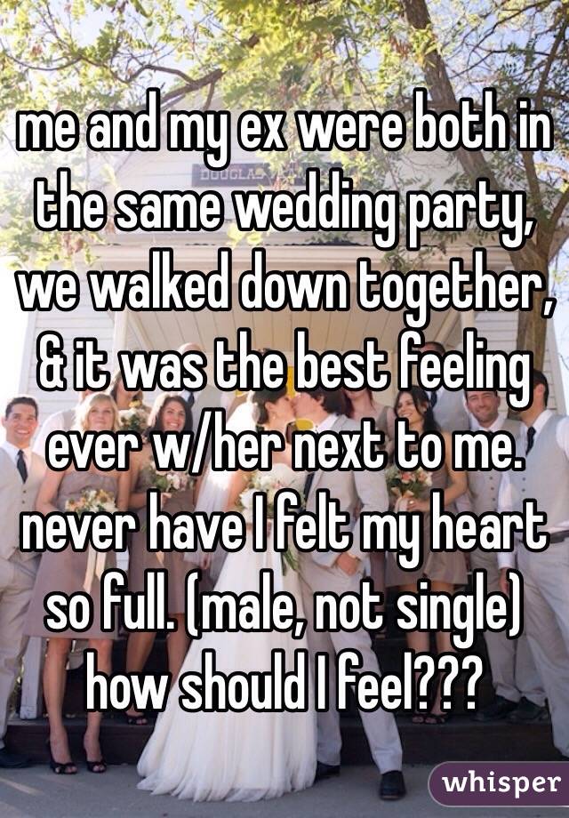 me and my ex were both in the same wedding party, we walked down together, & it was the best feeling ever w/her next to me. never have I felt my heart so full. (male, not single)
how should I feel???