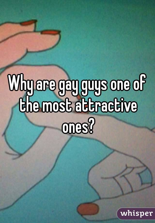 Why are gay guys one of the most attractive ones?