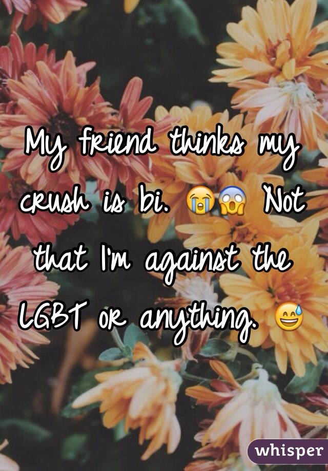 My friend thinks my crush is bi. 😭😱 Not that I'm against the LGBT or anything. 😅