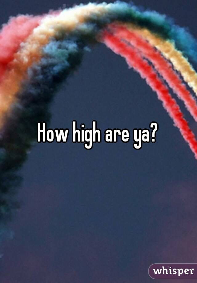 How high are ya?