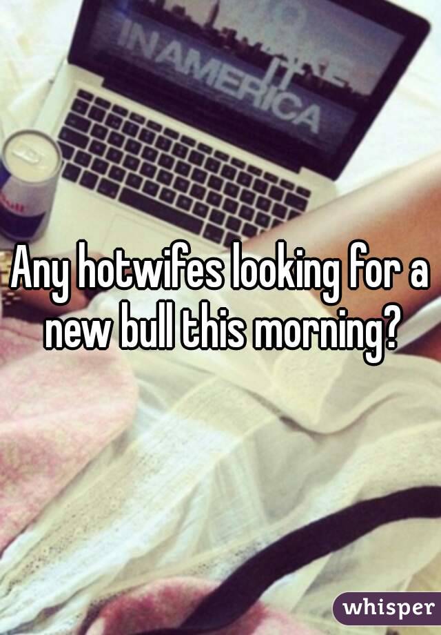 Any hotwifes looking for a new bull this morning?