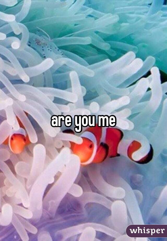 are you me