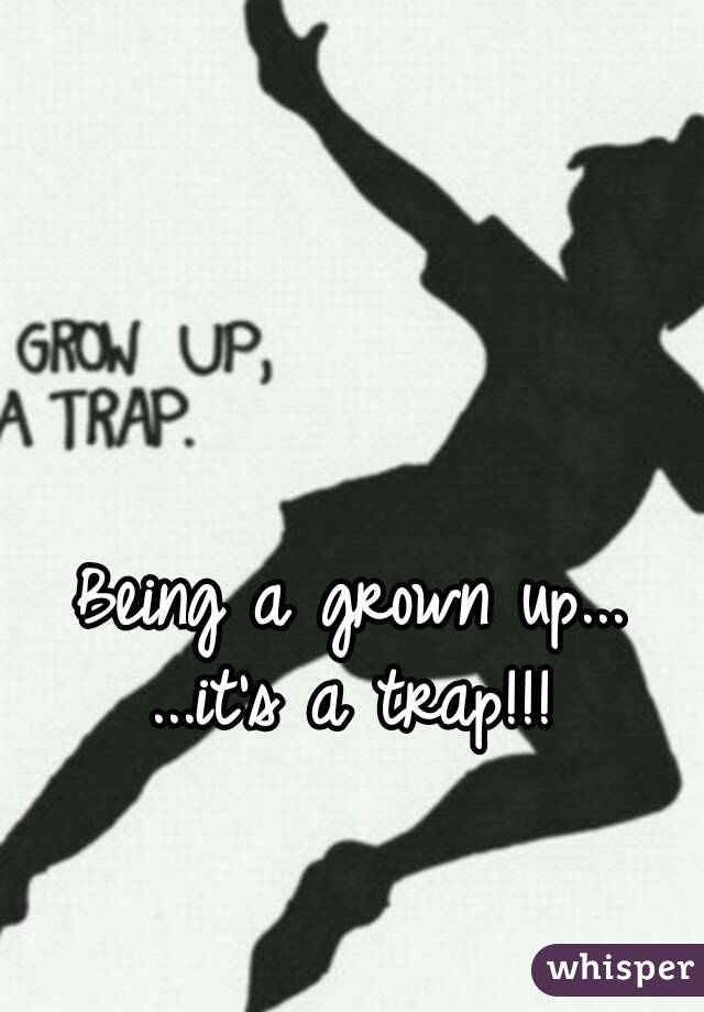 Being a grown up...
...it's a trap!!!