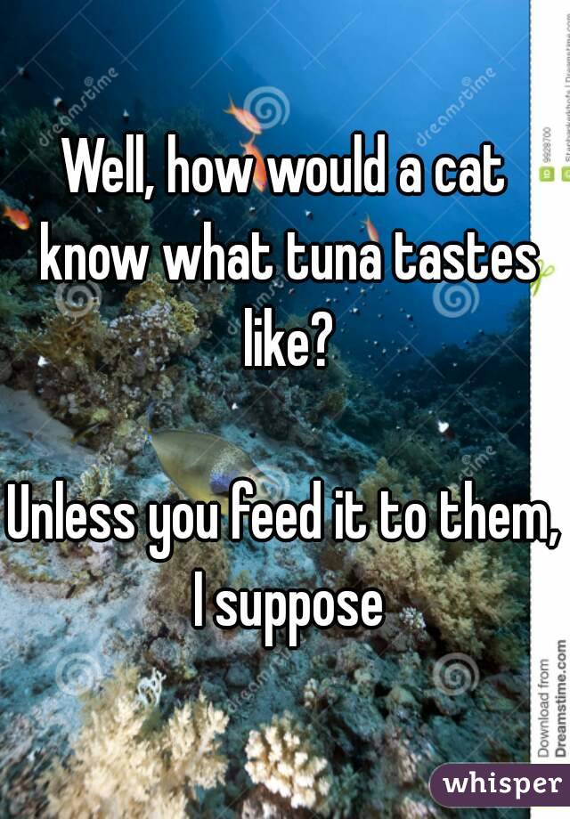 Well, how would a cat know what tuna tastes like?

Unless you feed it to them, I suppose