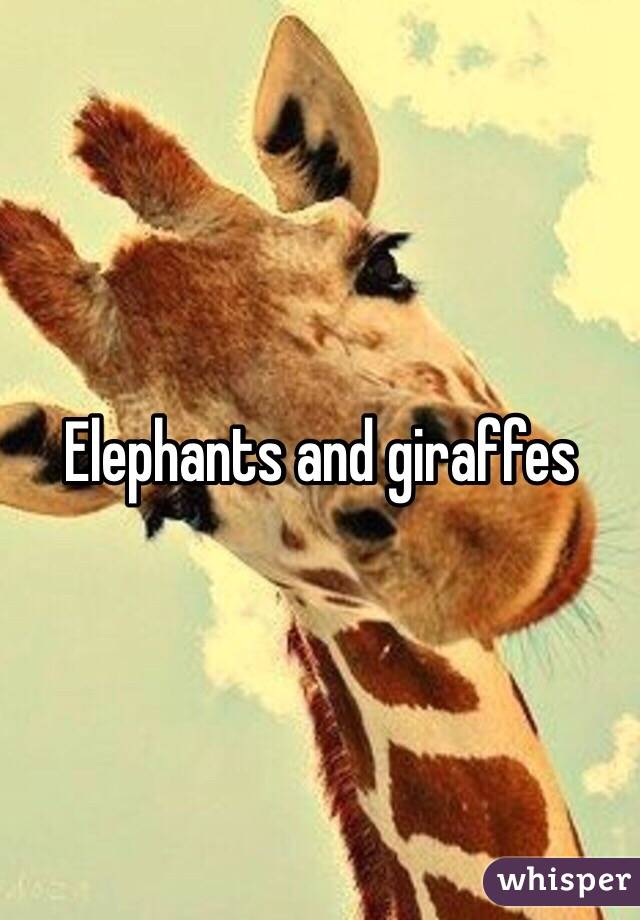 Elephants and giraffes