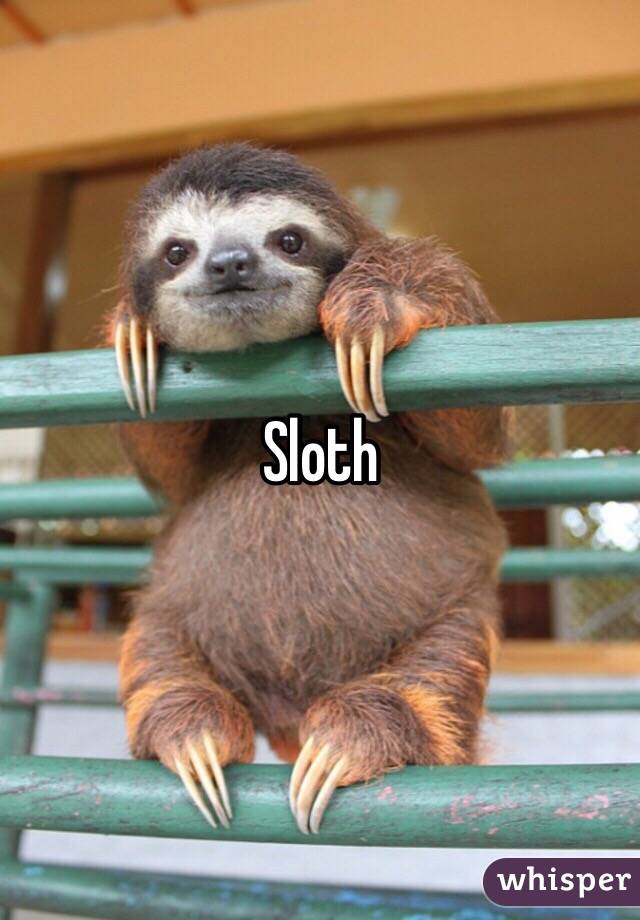 Sloth