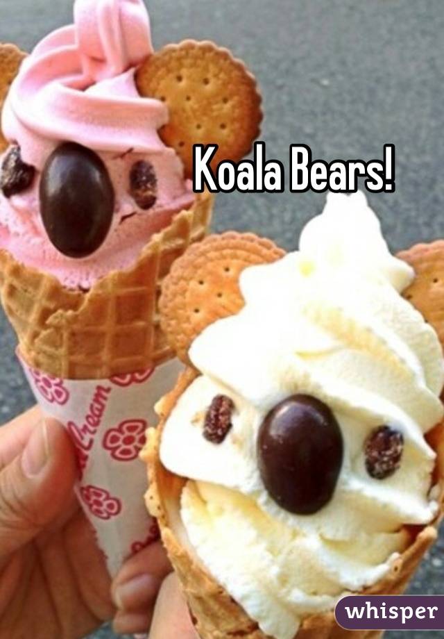 Koala Bears!