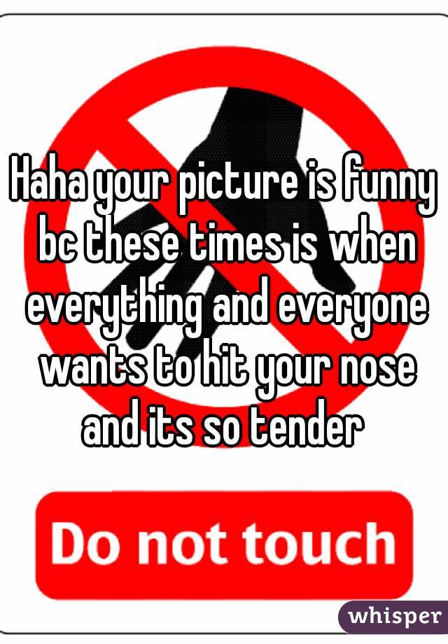 Haha your picture is funny bc these times is when everything and everyone wants to hit your nose and its so tender 
