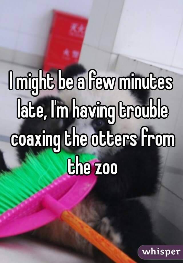 I might be a few minutes late, I'm having trouble coaxing the otters from the zoo