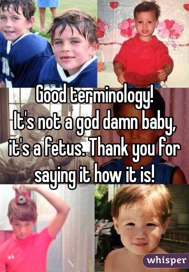 Good terminology! 
It's not a god damn baby, it's a fetus. Thank you for saying it how it is! 
