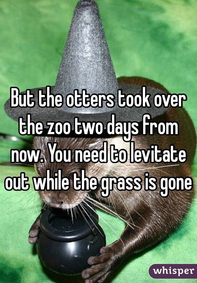 But the otters took over the zoo two days from now. You need to levitate out while the grass is gone