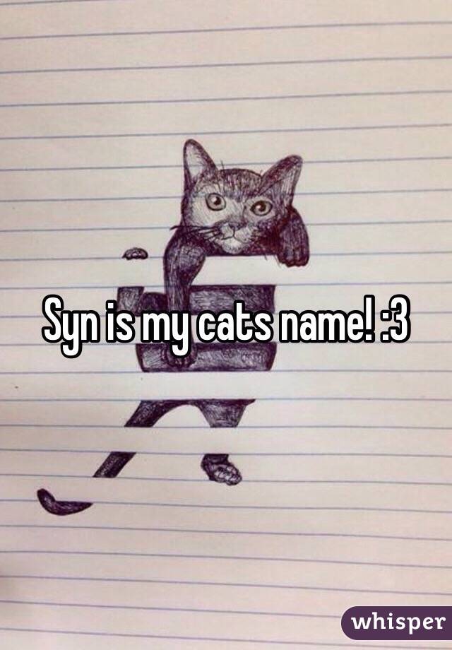 Syn is my cats name! :3