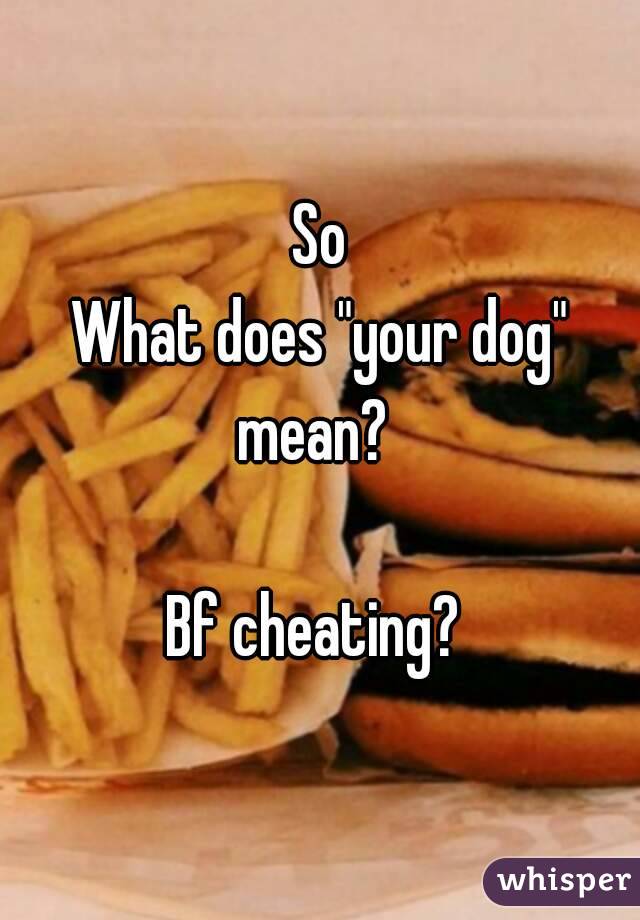 So
What does "your dog" mean?  

Bf cheating? 