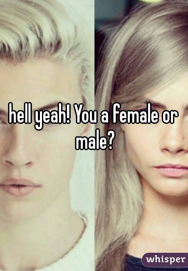 hell yeah! You a female or male?