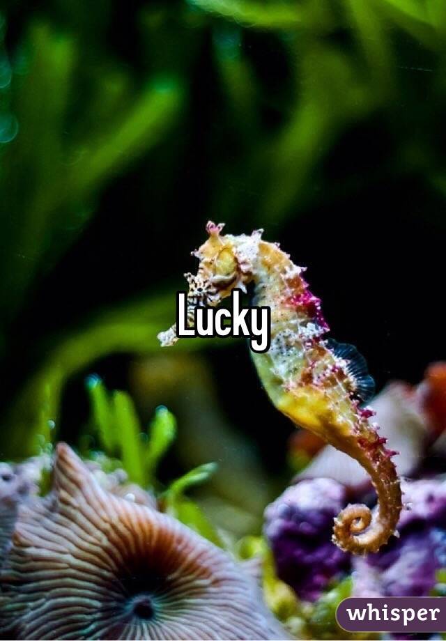 Lucky