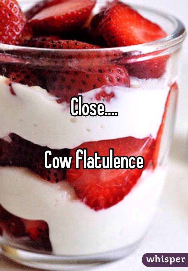 Close....

Cow flatulence