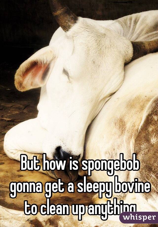 But how is spongebob  gonna get a sleepy bovine to clean up anything