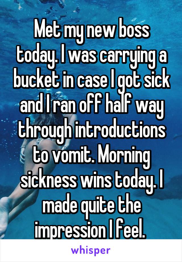 Met my new boss today. I was carrying a bucket in case I got sick and I ran off half way through introductions to vomit. Morning sickness wins today. I made quite the impression I feel. 