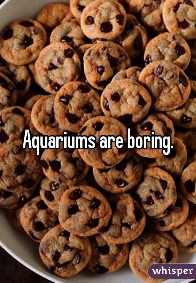 Aquariums are boring.