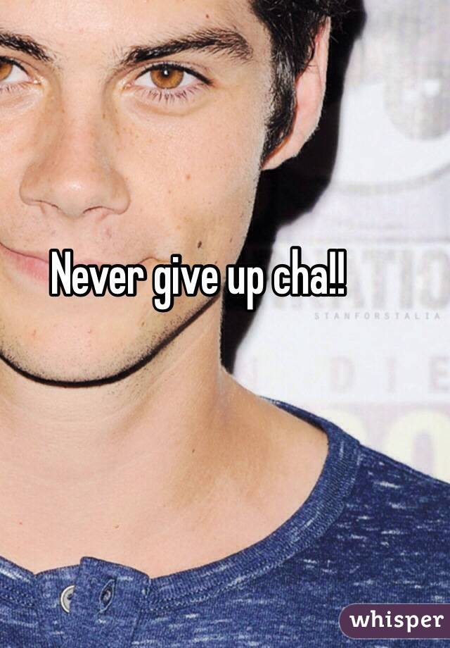 Never give up cha!!